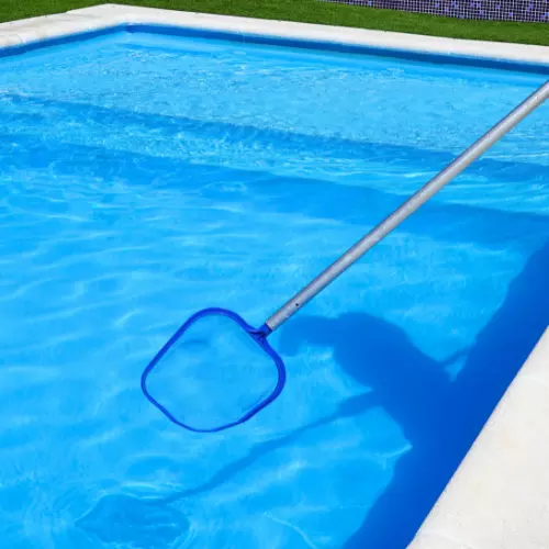 Limpieza de Pisicinas con red en borde de piscina, imagen de categor&iacute;a accesorios